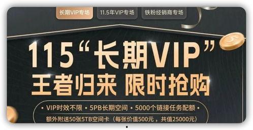 永久国产,揭秘其历史、文化与社会发展 第2张 永久国产,揭秘其历史、文化与社会发展 第2张