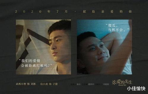 国产同性,情感与现实的交织  第3张