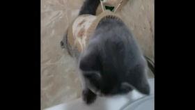 国产老肥熟  第3张