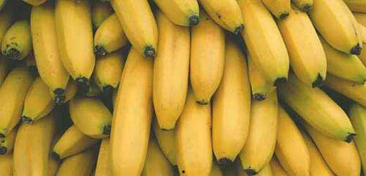 国产香蕉网,探索中国香蕉产业的魅力与未来  第2张