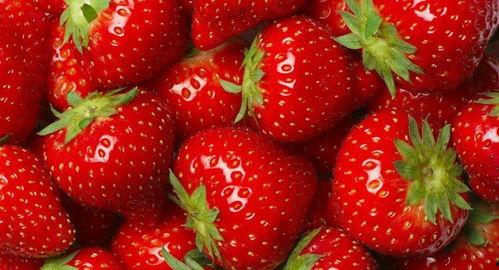 水莓100线在线观看国产,水莓100线,在线观看新体验 第2张 水莓100线在线观看国产,水莓100线,在线观看新体验 第2张