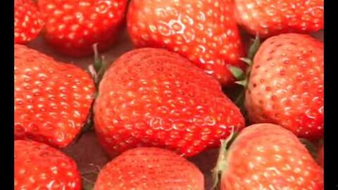 国产视频草莓,甜蜜滋味,映照时代光影 第3张 国产视频草莓,甜蜜滋味,映照时代光影 第3张